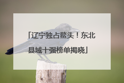 辽宁独占鳌头！东北县域十强榜单揭晓