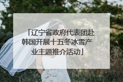辽宁省政府代表团赴韩国开展十五冬冰雪产业主题推介活动
