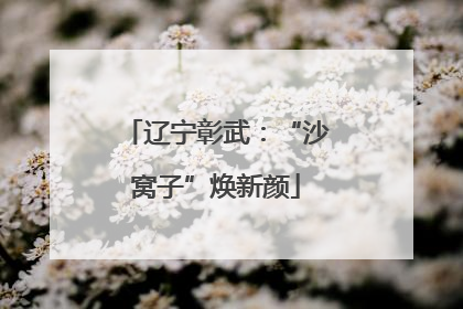辽宁彰武：“沙窝子”焕新颜