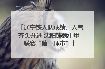 辽宁铁人队成绩、人气齐头并进 沈阳铸就中甲联赛“第一球市”