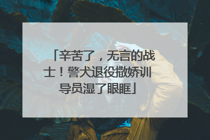 辛苦了，无言的战士！警犬退役撒娇训导员湿了眼眶