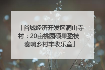 谷城经济开发区洞山寺村：20亩桃园硕果盈枝 奏响乡村丰收乐章