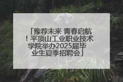 豫荐未来 青春启航！平顶山工业职业技术学院举办2025届毕业生夏季招聘会