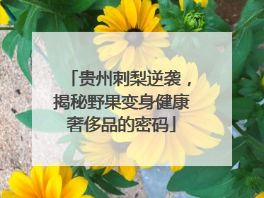 贵州刺梨逆袭，揭秘野果变身健康奢侈品的密码