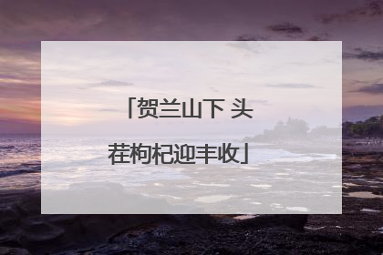 贺兰山下 头茬枸杞迎丰收
