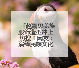 赵露思羌族服饰造型冲上热搜！网友：演绎民族文化之美