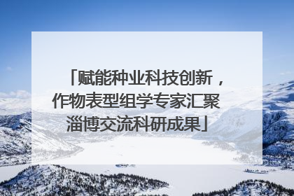 赋能种业科技创新，作物表型组学专家汇聚淄博交流科研成果