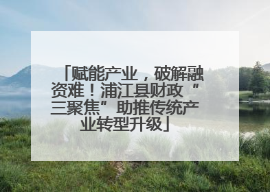 赋能产业，破解融资难！浦江县财政“三聚焦”助推传统产业转型升级