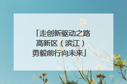 走创新驱动之路 高新区（滨江）勇毅前行向未来
