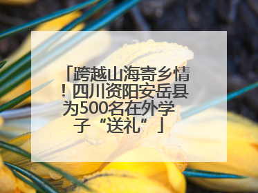 跨越山海寄乡情！四川资阳安岳县为500名在外学子“送礼”