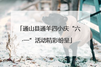 通山县通羊四小庆“六·一”活动精彩纷呈