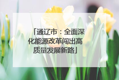 通辽市：全面深化能源改革闯出高质量发展新路