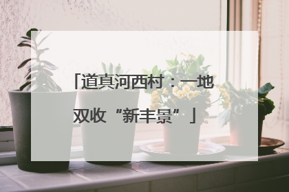 道真河西村：一地双收“新丰景”