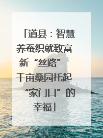 道县：智慧养蚕织就致富新“丝路” 千亩桑园托起“家门口”的幸福