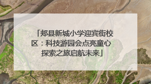 郏县新城小学迎宾街校区：科技游园会点亮童心 探索之旅启航未来