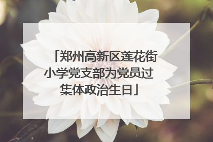 郑州高新区莲花街小学党支部为党员过集体政治生日