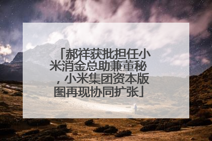 郝祥获批担任小米消金总助兼董秘，小米集团资本版图再现协同扩张