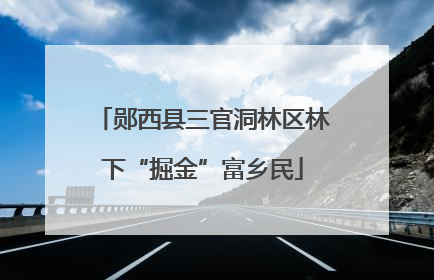 郧西县三官洞林区林下“掘金”富乡民