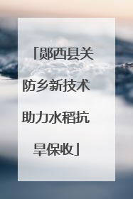 郧西县关防乡新技术助力水稻抗旱保收