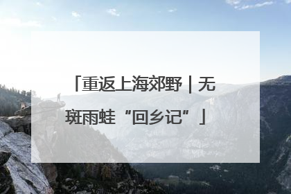 重返上海郊野｜无斑雨蛙“回乡记”