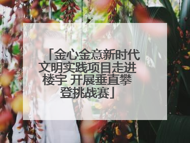 金心金意新时代文明实践项目走进楼宇 开展垂直攀登挑战赛