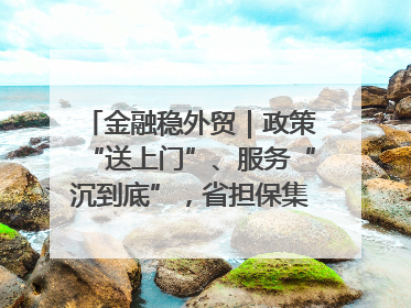 金融稳外贸｜政策“送上门”、服务“沉到底”，省担保集团加力支持外经贸高质量发展