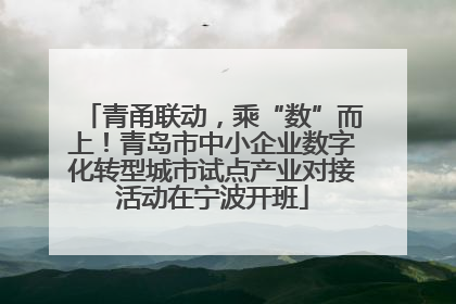 青甬联动，乘“数”而上！青岛市中小企业数字化转型城市试点产业对接活动在宁波开班