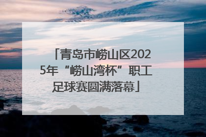 青岛市崂山区2025年“崂山湾杯”职工足球赛圆满落幕