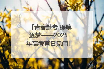 青春赴考 提笔逐梦——2025年高考首日见闻