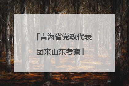 青海省党政代表团来山东考察
