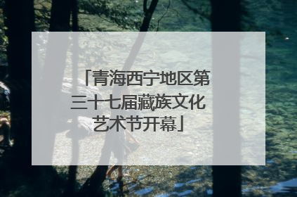 青海西宁地区第三十七届藏族文化艺术节开幕