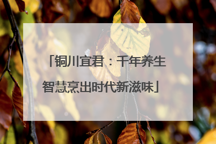 铜川宜君：千年养生智慧烹出时代新滋味