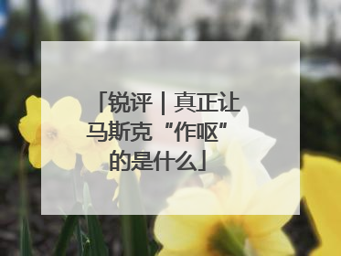 锐评｜真正让马斯克“作呕”的是什么