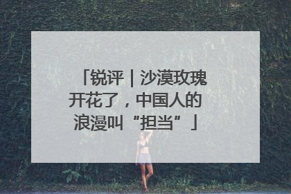 锐评｜沙漠玫瑰开花了，中国人的浪漫叫“担当”