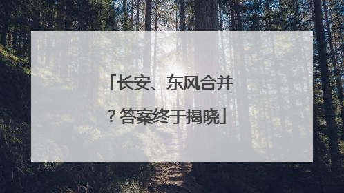 长安、东风合并？答案终于揭晓