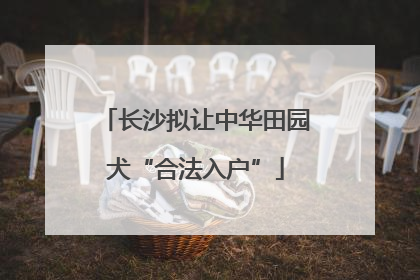 长沙拟让中华田园犬“合法入户”