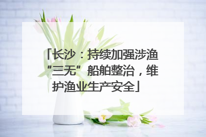 长沙：持续加强涉渔“三无”船舶整治，维护渔业生产安全