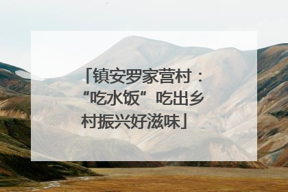 镇安罗家营村：“吃水饭”吃出乡村振兴好滋味