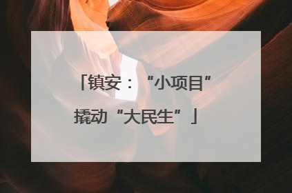 镇安：“小项目”撬动“大民生”