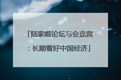 陆家嘴论坛与会嘉宾：长期看好中国经济
