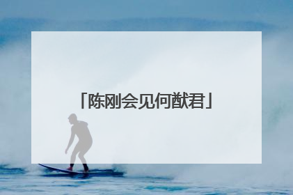 陈刚会见何猷君