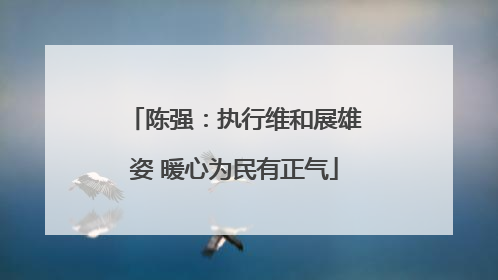 陈强：执行维和展雄姿 暖心为民有正气