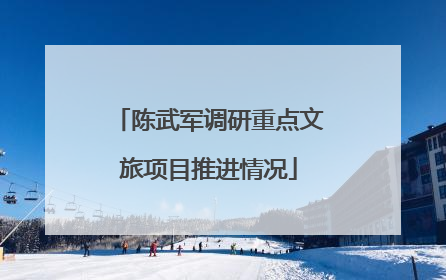 陈武军调研重点文旅项目推进情况