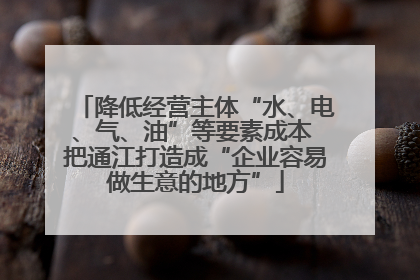 降低经营主体“水、电、气、油”等要素成本 把通江打造成“企业容易做生意的地方”