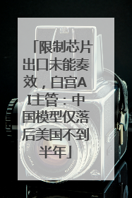 限制芯片出口未能奏效，白宫AI主管：中国模型仅落后美国不到半年