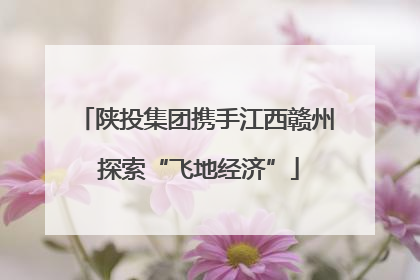 陕投集团携手江西赣州 探索“飞地经济”