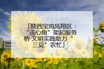 陕西宝鸡凤翔区：“连心角”架起服务桥 文明实践助力“三夏”农忙