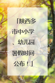 陕西多市中小学、幼儿园暑假时间公布！