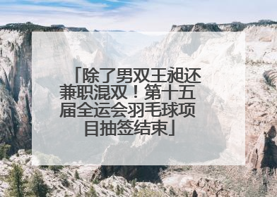 除了男双王昶还兼职混双！第十五届全运会羽毛球项目抽签结束