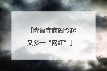 隆福寺商圈今起又多一“网红”